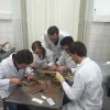 Ambulanztrainer 2015